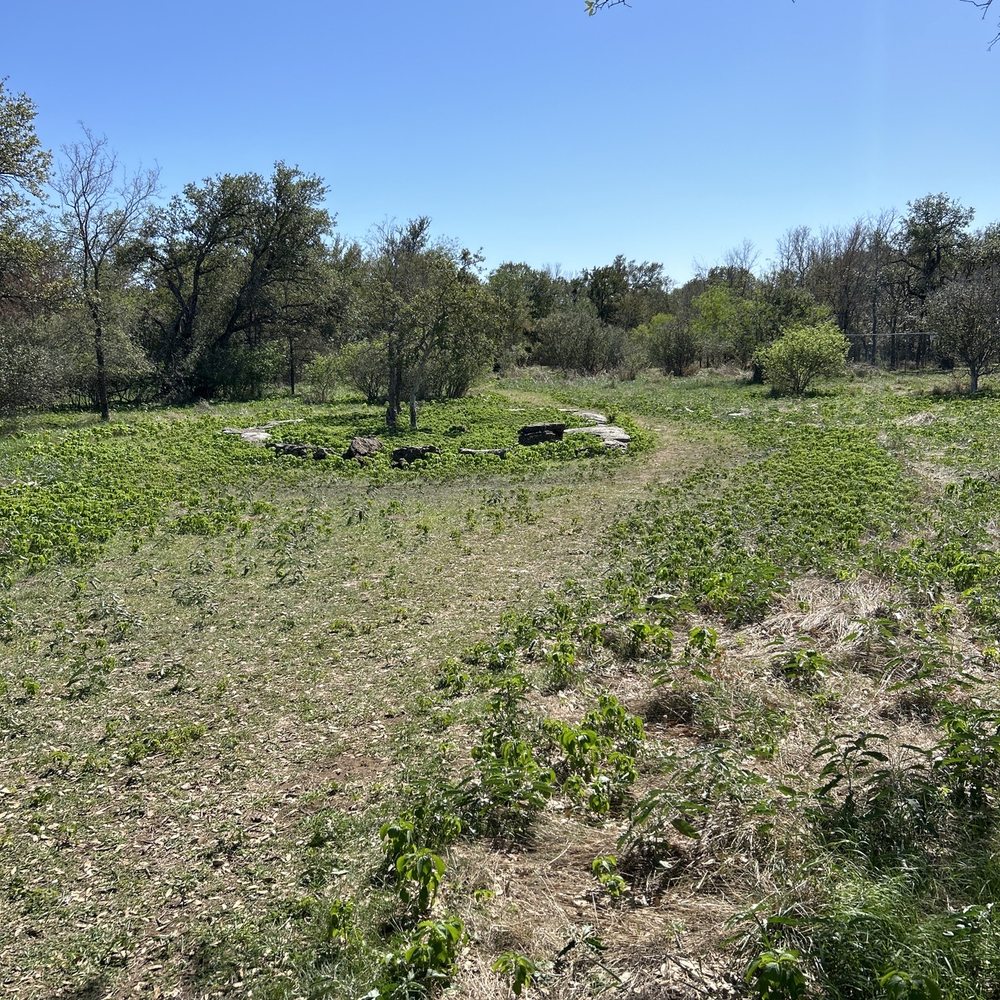 Emerald Springs Park - Primitive trail - Parks Near Me - Georgetown, Texas Emerald Springs Park - Primitive trail - Parks Near Me - Georgetown, Texas