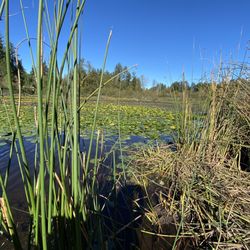 Five Mile Lake Park