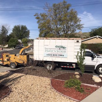 Inexpensive Tree Services - Tree Services Near Me - Los Angeles, California Inexpensive Tree Services - Tree Services Near Me - Los Angeles, California
