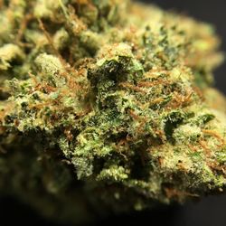IE Greenmeds - Gorilla Glue #4 Flower (10x Macro)