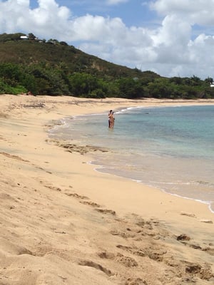 Shoys Beach by null