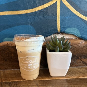 Foxtail Coffee - Coffee & Tea Near Me - Mount Dora, Florida