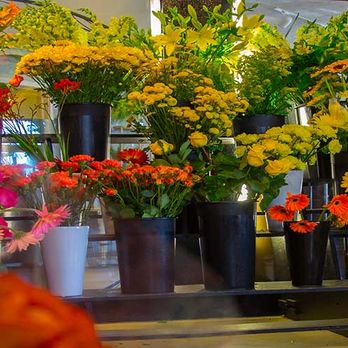 Huisman Flowers - Huisman Flowers operates multiple flower shops in the Lake Michigan lakeshore area. - Florists Near Me - Holland, Michigan Huisman Flowers - Huisman Flowers operates multiple flower shops in the Lake Michigan lakeshore area. - Florists Near Me - Holland, Michigan