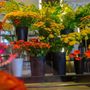 Photo of Huisman Flowers