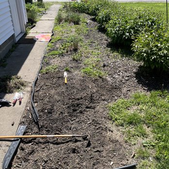 Motor Mouth Mowing - Bed 1 before. - Lawn Services Near Me Motor Mouth Mowing - Bed 1 before. - Lawn Services Near Me