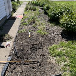 Motor Mouth Mowing - Bed 1 before.