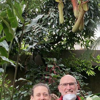 Olbrich Botanical Gardens - My dad & I standing under a carnivorous pitcher plant - the first one I've seen in person; very cool! - Botanical Gardens Near Me - Madison, Wisconsin
