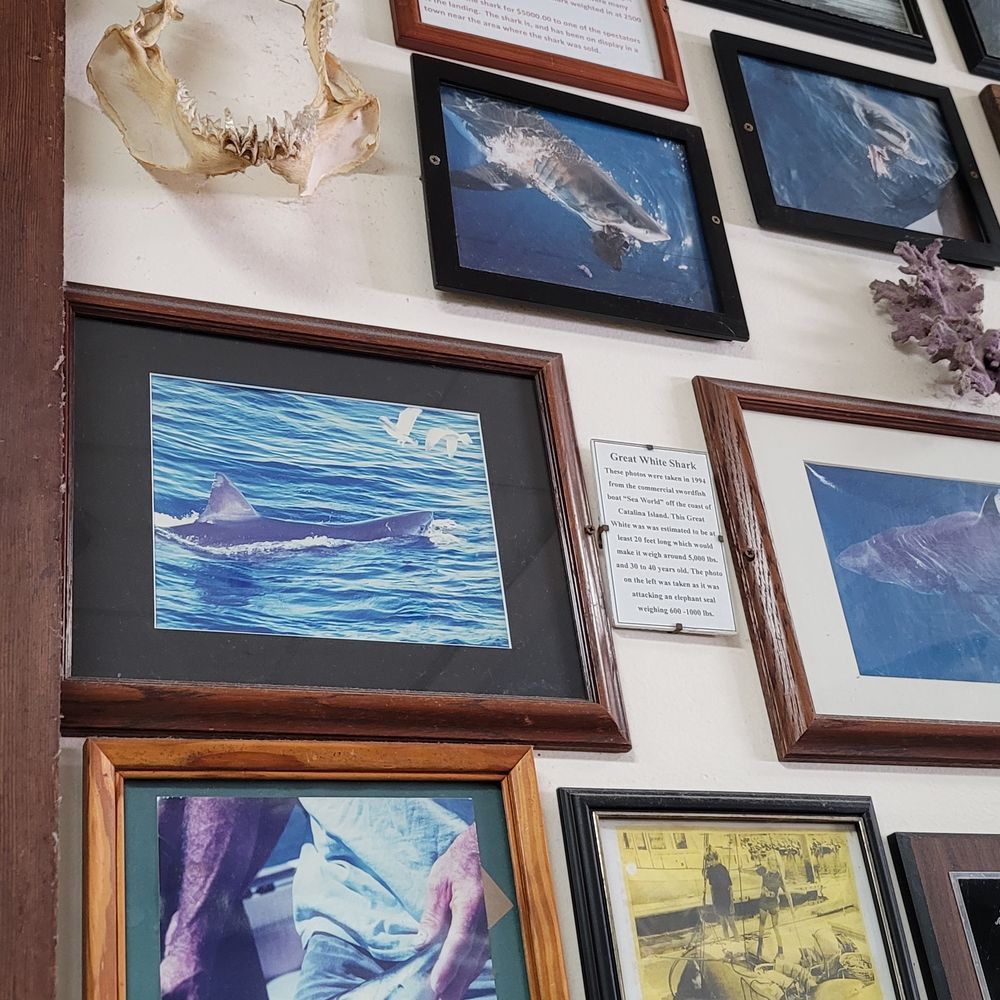 Harbor Fish & Chips - Fish & Chips Near Me - Oceanside, California