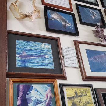 Harbor Fish & Chips - Fish & Chips Near Me - Oceanside, California