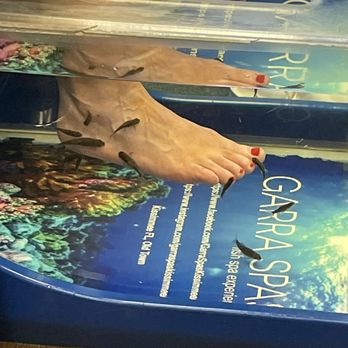 Garra Fish Spa experience - Feet - Day Spas Near Me - Kissimmee, Florida Garra Fish Spa experience - Feet - Day Spas Near Me - Kissimmee, Florida