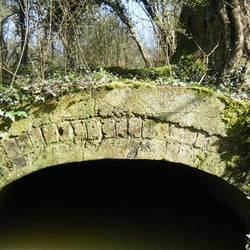 Woods Mill Nature Reserve