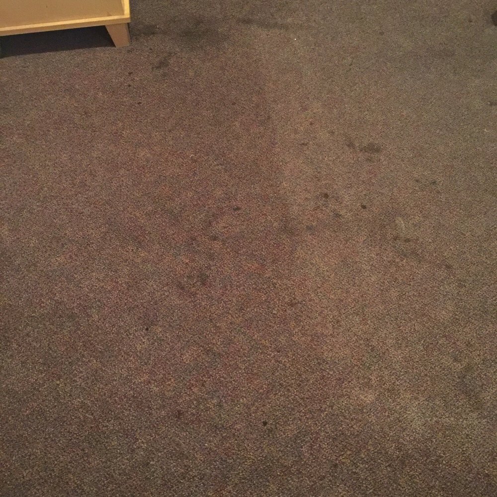 Hotel Salazar - The disgusting carpet! - Hotels Near Me - Tijuana, BCN