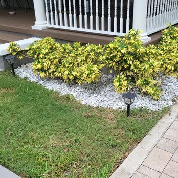 Coastal Property Landscaping - Landscaping Near Me - Pompano Beach, Florida Coastal Property Landscaping - Landscaping Near Me - Pompano Beach, Florida