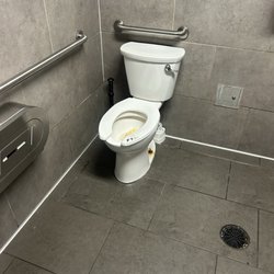 7 Eleven - literal poop on the toilet seat in the mens bathroom