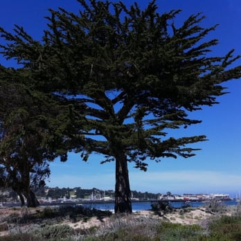 Monterey Bay Park - Parks Near Me - Monterey, California Monterey Bay Park - Parks Near Me - Monterey, California