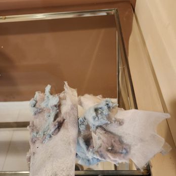 Miami Luxury Airbnb - lint etc out of the dryer - because there is no lint remover! - Vacation Rentals Near Me - Miami, Florida Miami Luxury Airbnb - lint etc out of the dryer - because there is no lint remover! - Vacation Rentals Near Me - Miami, Florida
