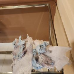 Miami Luxury Airbnb - lint etc out of the dryer - because there is no lint remover!