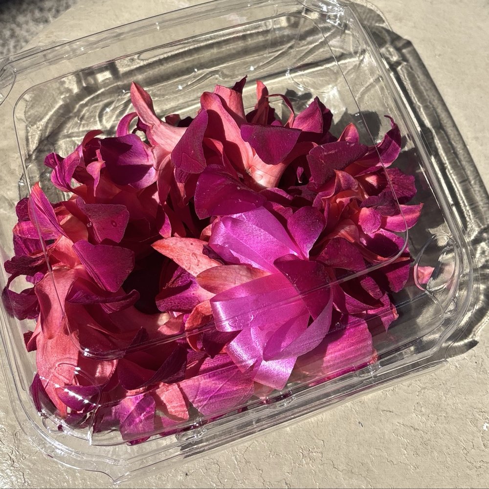 Dyed Orchid Lei ($11) Dyed Orchid Lei ($11)