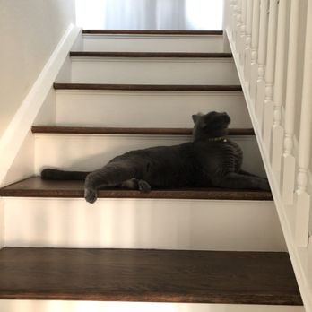 Jee's Painting & Maintenance - Paint work with stairs - Painters Near Me - San Bruno, California Jee's Painting & Maintenance - Paint work with stairs - Painters Near Me - San Bruno, California