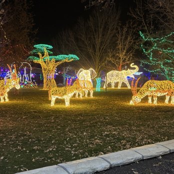 River Of Lights - Africa lights - Festivals Near Me - Albuquerque, New Mexico