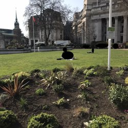 Trinity Square Gardens - Trinity Square Gardens