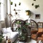 Photo of Vieille Branche