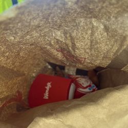 Wendy's - My chicken nuggets and fries dumped into the bag
