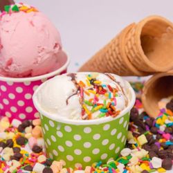 Yummy Ice Cream Emporium - Hard Scoop & Soft Serve