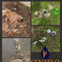 Centflo Plumbing
