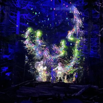 Vallea Lumina - Walking Tours Near Me - Whistler, British Columbia Vallea Lumina - Walking Tours Near Me - Whistler, British Columbia