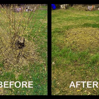 Stump Removal & Daughter - Stump before and after - Landscaping Near Me - Aurora, Colorado
