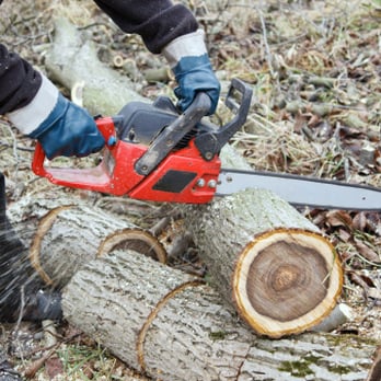 Eager Beaver Tree Service - Tree Services Near Me - Roseville, Minnesota Eager Beaver Tree Service - Tree Services Near Me - Roseville, Minnesota
