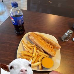 Napoli Pizza - Buffalo chicken cheese steak. Fries with cold cheese wiz