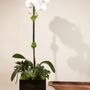 French Florist