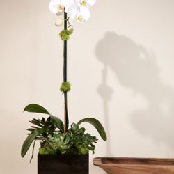 French Florist