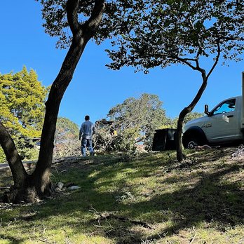 Jaimes Tree Service - Jaimes Tree Service - Tree Services Near Me Jaimes Tree Service - Jaimes Tree Service - Tree Services Near Me