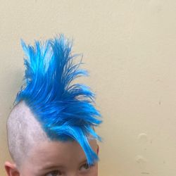Haircraft by Serena  - Kids, buzz, bleach and Fashion colors   Class traditional Mohawk