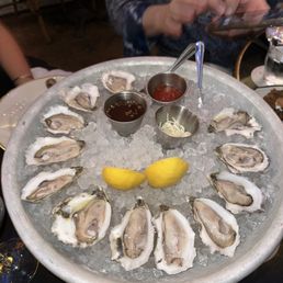 Oysters Oysters