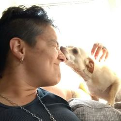 Seattle Dog Zen - Hercules kisses!
