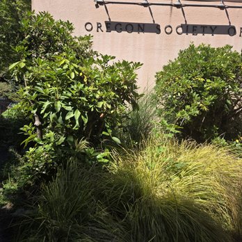 Oregon Art Center - Art Classes Near Me - Portland, Oregon Oregon Art Center - Art Classes Near Me - Portland, Oregon