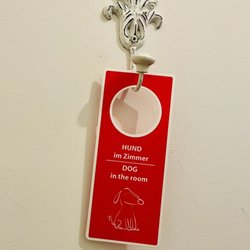 Wellenreiter - Hund im Zimmer