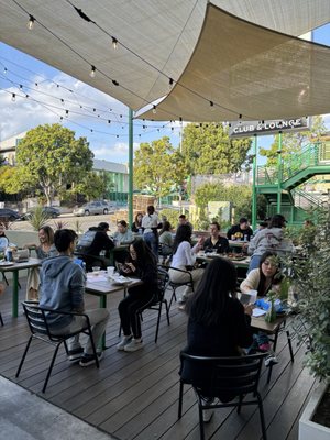 Seven Tigers Pie Club by null