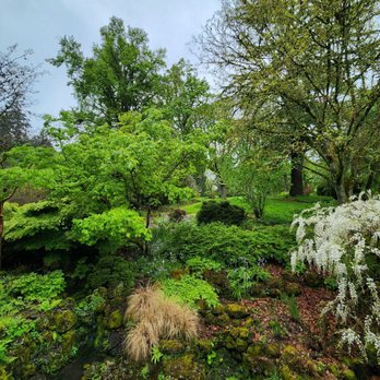 Leach Botanical Garden - Botanical Gardens Near Me - Portland, Oregon