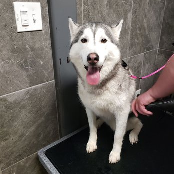 Hollywood Feed - Getting all dry! - Pet Stores Near Me - Madison, Alabama