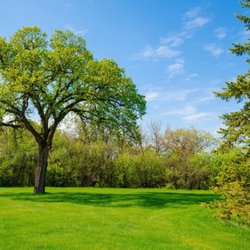 SGM Landscaping