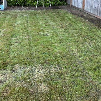 Curiel Landscaping - Landscaping Near Me - Lakewood, Washington Curiel Landscaping - Landscaping Near Me - Lakewood, Washington