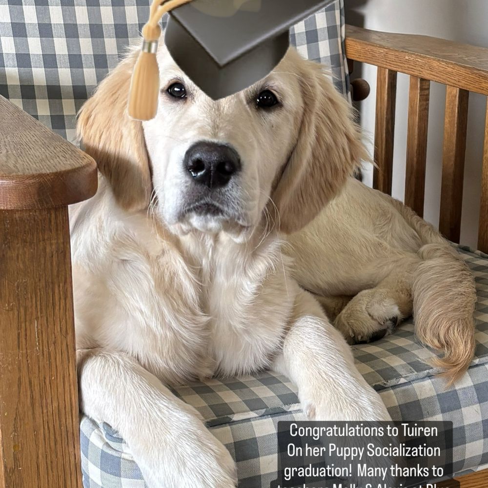 THE BEST 10 Dog Separation Anxiety Training in Syracuse, NY - Quality \u0026  Affordability - Updated 2026 - Yelp, image size:1000x1000