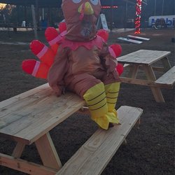 Grasshopper Farms NC - Holiday photo at grasshopper farms