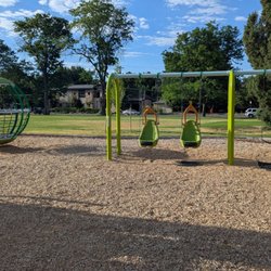 Congress Park - Swings