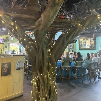 Two Drunken Goats - Indoor light up tree. I just love this. - Seafood Near Me - Riviera Beach, Florida
